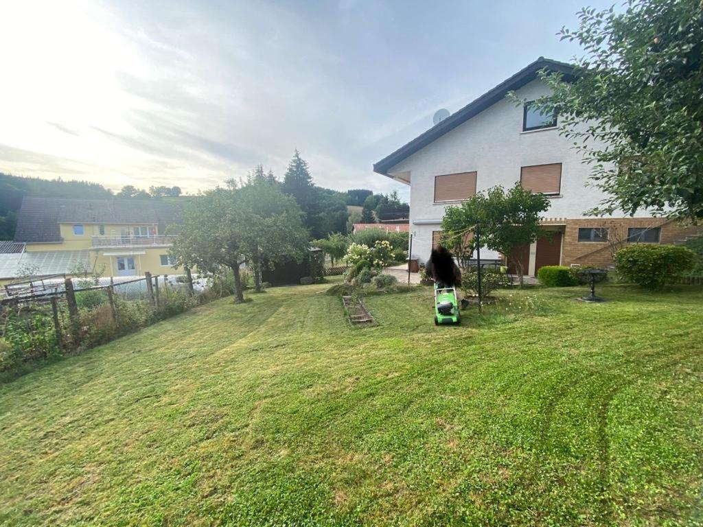 Ferien- Und Monteurwohnung Zum Waldblick ภายนอก รูปภาพ